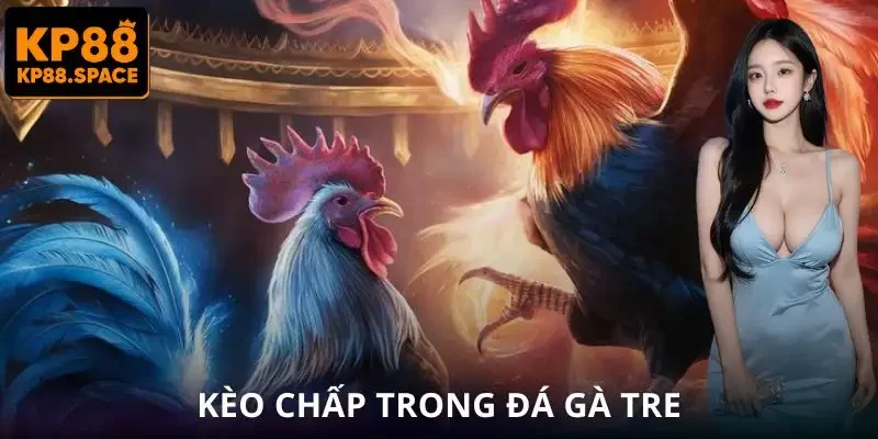 da-ga-tre-keo-chap